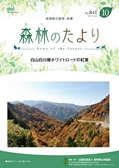 森林のたより　841号　2023年10月