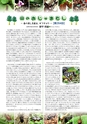 森林のたより　718号　2013年7月