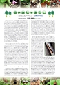 森林のたより　721号　2013年10月