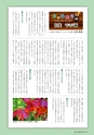 森林のたより　721号　2013年10月
