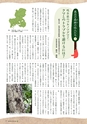 森林のたより　721号　2013年10月