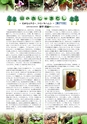森林のたより　726号　2014年03月