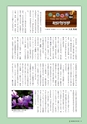 森林のたより　727号　2014年04月