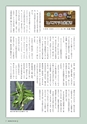 森林のたより　736号　2015年01月