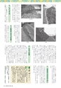 森林のたより　782号　2018年11月