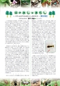 森林のたより　782号　2018年11月