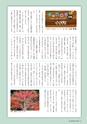 森林のたより　782号　2018年11月