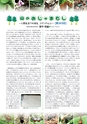 森林のたより　797号　2020年02月