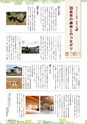 森林のたより　797号　2020年02月