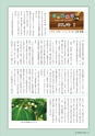 森林のたより　801号　2020年06月