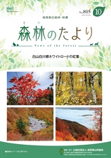 森林のたより　805号　2020年10月