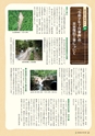 森林のたより　806号　2020年11月