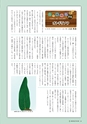 森林のたより　838号　2023年7月